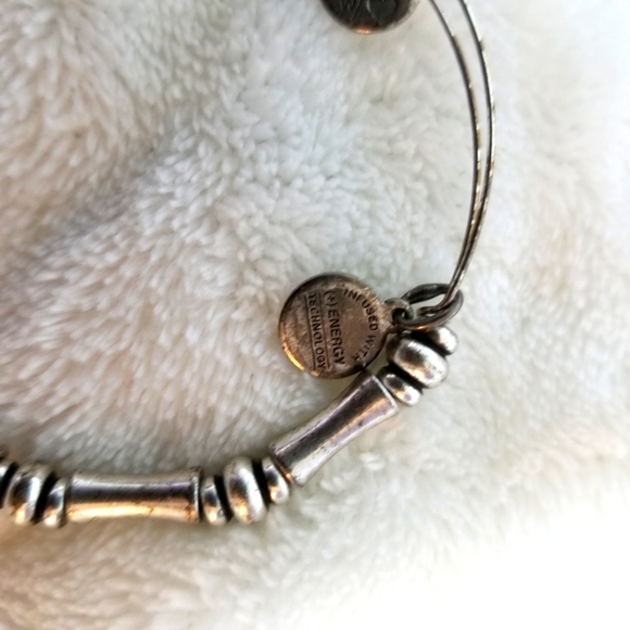 Alex and Ani Jewelry - Alex Alex & Ani Bangal Bracelet (infused W/energy Technology/made)